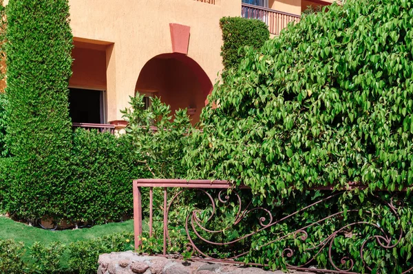 Villa de vacaciones de lujo con palmera — Foto de Stock