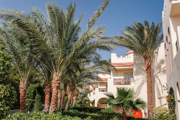 Modern ve lüks bir konut - yaşam tarzı konsepti. Kocaman, lüks bir ev.