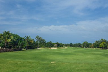Dominik Cumhuriyeti ülkesindeki Golf Sahası. çim ve Hindistan cevizi avuç içi Seyşeller Adası.