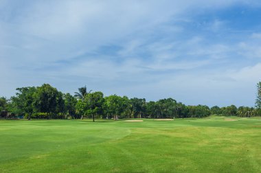 Dominik Cumhuriyeti ülkesindeki Golf Sahası. çim ve Hindistan cevizi avuç içi Seyşeller Adası.