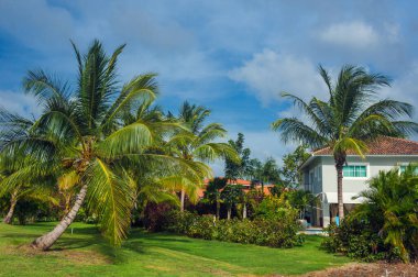 Dominik Cumhuriyeti 'nde kendi yüzme havuzu olan güzel lüks bir villa. Lüks Karayip tatil beldesi ve güzel bahçedeki yazlık ev.