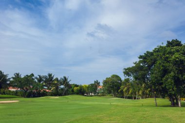 Dominik Cumhuriyeti ülkesindeki Golf Sahası. çim ve Hindistan cevizi avuç içi Seyşeller Adası.
