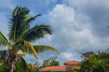 Dominik Cumhuriyeti 'nde kendi yüzme havuzu olan güzel lüks bir villa. Lüks Karayip tatil beldesi ve güzel bahçedeki yazlık ev.