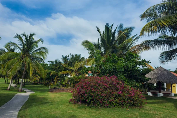 Linda moradia de luxo com uma piscina própria na República Dominicana. residência de verão no resort caribenho de luxo e belo jardim. — Fotografia de Stock