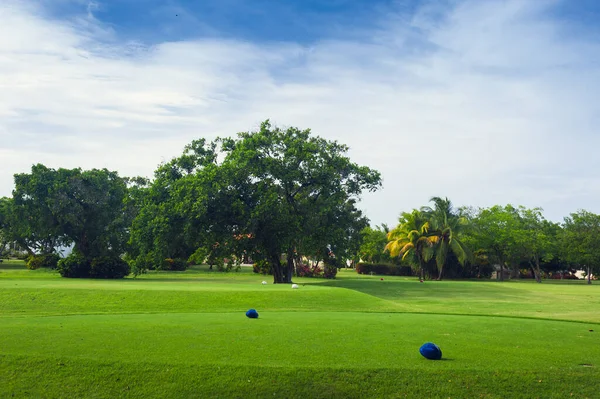 Campo de golf en República Dominicana. campo de hierba y cocoteros en la isla de Seychelles . —  Fotos de Stock