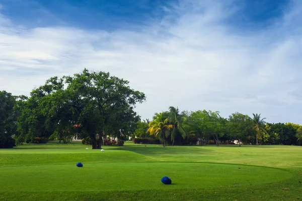 Golfplatz in der Dominikanischen Republik. Wiese mit Gras und Kokospalmen auf der Insel Seychellen. — Stockfoto