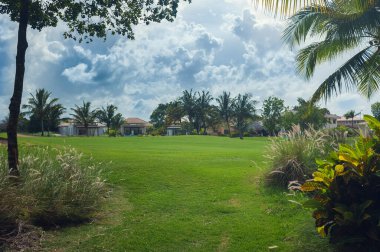 Egzotik Palms Beach Resort gerekçesiyle. Tropikal bahçe içinde güzel palmiye ağacı.