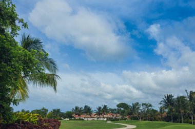 Dominik Cumhuriyeti ülkesindeki Golf Sahası. çim ve Hindistan cevizi avuç içi Seyşeller Adası.