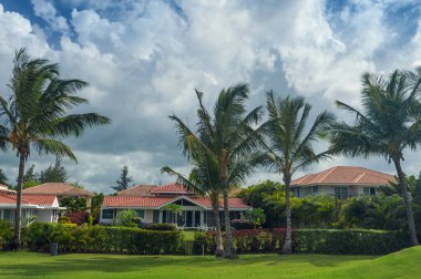 Dominik Cumhuriyeti ülkesindeki Golf Sahası. çim ve Hindistan cevizi avuç içi Seyşeller Adası.