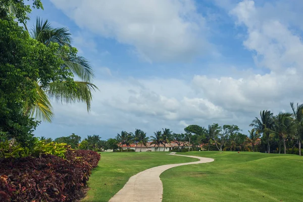 Dominik Cumhuriyeti ülkesindeki Golf Sahası. çim ve Hindistan cevizi avuç içi Seyşeller Adası.