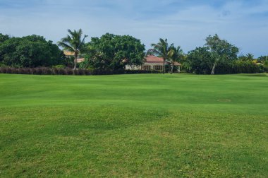 Dominik Cumhuriyeti ülkesindeki Golf Sahası. çim ve Hindistan cevizi avuç içi Seyşeller Adası.