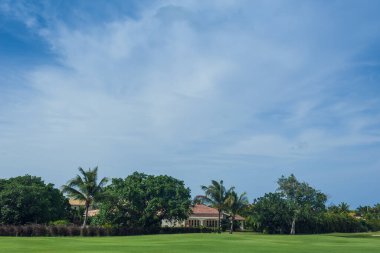 Dominik Cumhuriyeti ülkesindeki Golf Sahası. çim ve Hindistan cevizi avuç içi Seyşeller Adası.