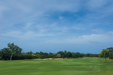 Dominik Cumhuriyeti ülkesindeki Golf Sahası. çim ve Hindistan cevizi avuç içi Seyşeller Adası.
