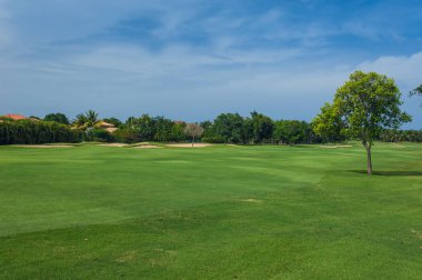 Dominik Cumhuriyeti ülkesindeki Golf Sahası. çim ve Hindistan cevizi avuç içi Seyşeller Adası.