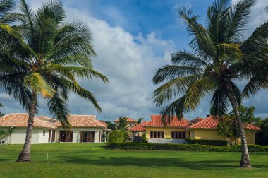 Dominik Cumhuriyeti ülkesindeki Golf Sahası. çim ve Hindistan cevizi avuç içi Seyşeller Adası.