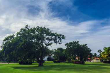 Dominik Cumhuriyeti ülkesindeki Golf Sahası. çim ve Hindistan cevizi avuç içi Seyşeller Adası.
