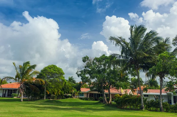 Golf course in Dominican republic. field of grass and coconut palms on Seychelles island. — Stock Photo, Image