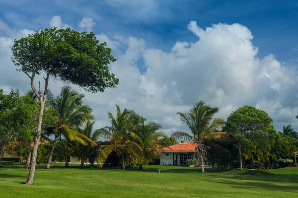 Golf course in Dominican republic. field of grass and coconut palms on Seychelles island. — Stock Photo, Image