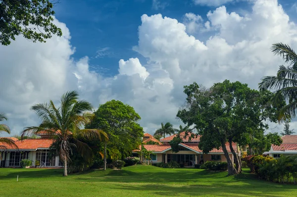 Dominik Cumhuriyeti ülkesindeki Golf Sahası. çim ve Hindistan cevizi avuç içi Seyşeller Adası.