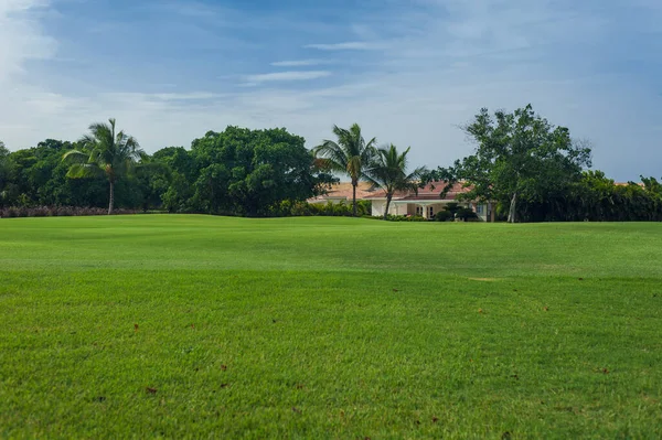 Golfbaan in Dominicaanse Republiek. gebied van gras en kokospalmen op Seychellen eiland. — Stockfoto