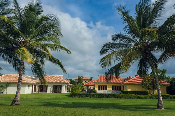 Dominik Cumhuriyeti ülkesindeki Golf Sahası. çim ve Hindistan cevizi avuç içi Seyşeller Adası.