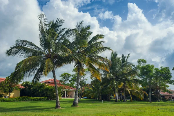 Golf course in Dominican republic. field of grass and coconut palms on Seychelles island. — Stock Photo, Image