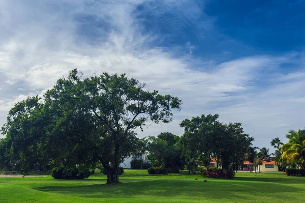 Golfbana i Dominikanska republiken. gräs-och kokospalmer på Seychellerna ö. — Stockfoto