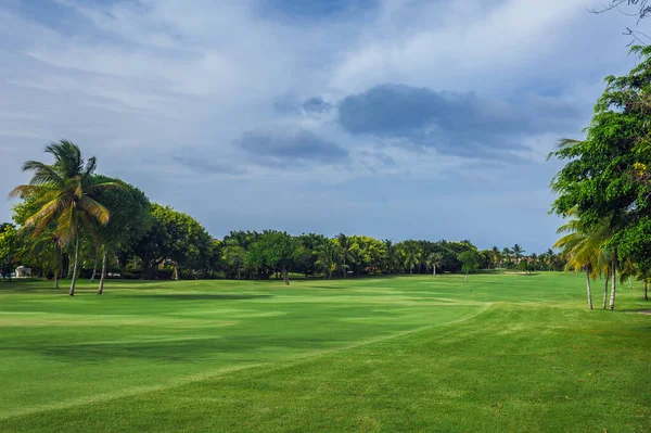 Dominik Cumhuriyeti ülkesindeki Golf Sahası. çim ve Hindistan cevizi avuç içi Seyşeller Adası.