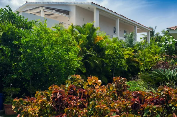 Schöne Luxusvilla mit eigenem Pool in der Dominikanischen Republik. Sommerresidenz auf luxuriösem Karibik-Resort und schönem Garten. — Stockfoto