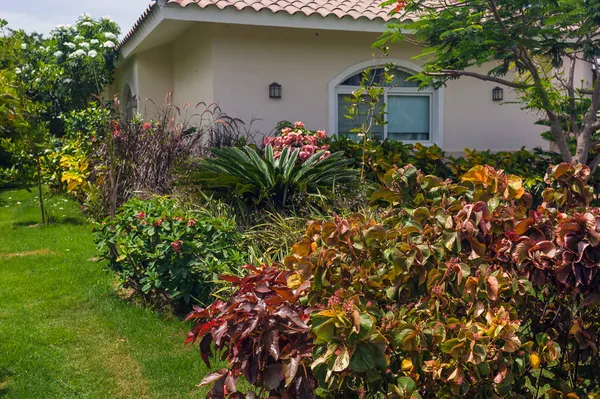 Hermosa villa de lujo con piscina propia en República Dominicana. residencia de verano en el complejo caribeño de lujo y hermoso jardín. —  Fotos de Stock