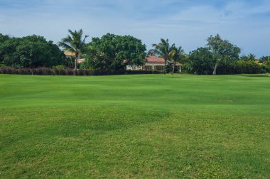 Dominik Cumhuriyeti ülkesindeki Golf Sahası. çim ve Hindistan cevizi avuç içi Seyşeller Adası.