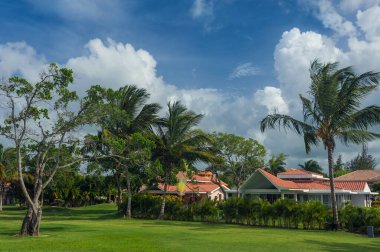 Dominik Cumhuriyeti ülkesindeki Golf Sahası. çim ve Hindistan cevizi avuç içi Seyşeller Adası.