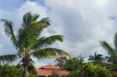 Dominik Cumhuriyeti 'nde kendi yüzme havuzu olan güzel lüks bir villa. Lüks Karayip tatil beldesi ve güzel bahçedeki yazlık ev.