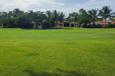 Dominik Cumhuriyeti ülkesindeki Golf Sahası. çim ve Hindistan cevizi avuç içi Seyşeller Adası.