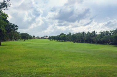 Dominik Cumhuriyeti ülkesindeki Golf Sahası. çim ve Hindistan cevizi avuç içi Seyşeller Adası.