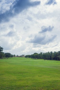 Dominik Cumhuriyeti ülkesindeki Golf Sahası. çim ve Hindistan cevizi avuç içi Seyşeller Adası.