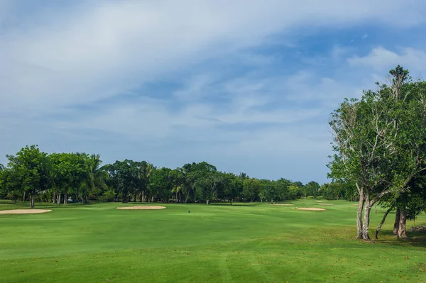 Dominik Cumhuriyeti ülkesindeki Golf Sahası. çim ve Hindistan cevizi avuç içi Seyşeller Adası.