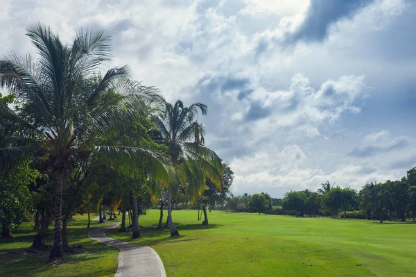 Campo de golf en República Dominicana. campo de hierba y cocoteros en la isla de Seychelles . —  Fotos de Stock
