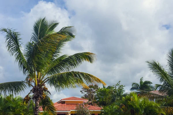 Dominik Cumhuriyeti 'nde kendi yüzme havuzu olan güzel lüks bir villa. Lüks Karayip tatil beldesi ve güzel bahçedeki yazlık ev.