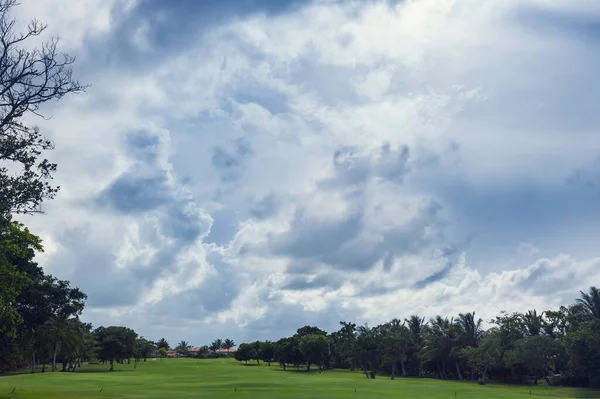 Dominik Cumhuriyeti ülkesindeki Golf Sahası. çim ve Hindistan cevizi avuç içi Seyşeller Adası.