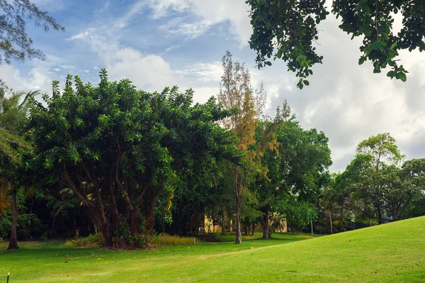 Golfbana i Dominikanska republiken. gräs-och kokospalmer på Seychellerna ö. — Stockfoto