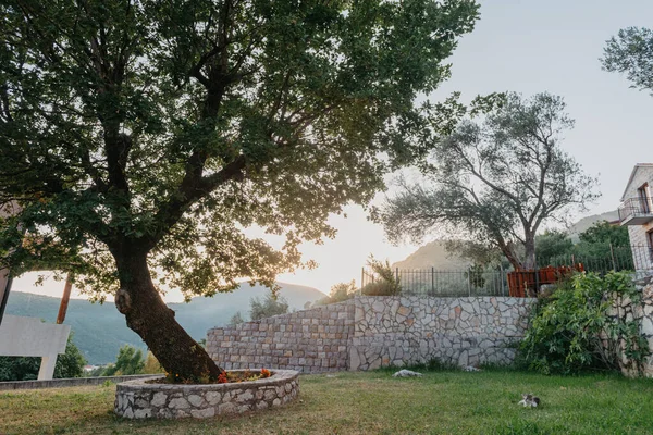 Preciosa villa de estilo mediterráneo con plantas al atardecer — Foto de Stock