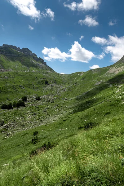 Durmitor dağları, Ulusal Park, Akdeniz, Karadağ, Balkanlar ve Avrupa 'nın muhteşem manzarası. Sedlo Geçidi 'nden parlak yaz manzarası. Dağlardaki evin yanındaki yol..