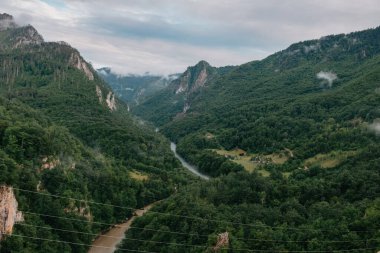 Tara River, kuzey Karadağ 'daki köprünün manzarası. Tara nehri kanyonu, Avrupa 'nın en derin kanyonu, dünyanın ikinci kanyonu. Karadağ Devleti