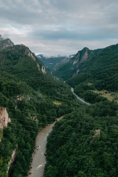 Tara River, kuzey Karadağ 'daki köprünün manzarası. Tara nehri kanyonu, Avrupa 'nın en derin kanyonu, dünyanın ikinci kanyonu. Karadağ Devleti
