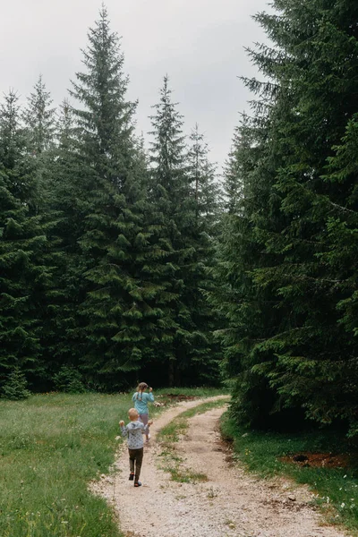 小男孩和女孩在夏天的森林里散步。一个女孩和一个男孩在针叶林里散步。旅游、探险和探险。2.环境生态学 — 图库照片