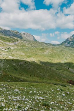 Gün doğarken Dağ Vadisi. Doğal yaz manzarası. Dağ zirvesi yeşil doğa manzarası. Yeşil tepe manzarası