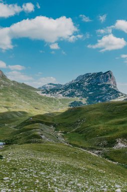 Gün doğarken Dağ Vadisi. Doğal yaz manzarası. Dağ zirvesi yeşil doğa manzarası. Yeşil tepe manzarası