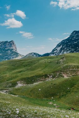 Gün doğarken Dağ Vadisi. Doğal yaz manzarası. Dağ zirvesi yeşil doğa manzarası. Yeşil tepe manzarası