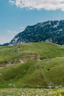 Gün doğarken Dağ Vadisi. Doğal yaz manzarası. Dağ zirvesi yeşil doğa manzarası. Yeşil tepe manzarası